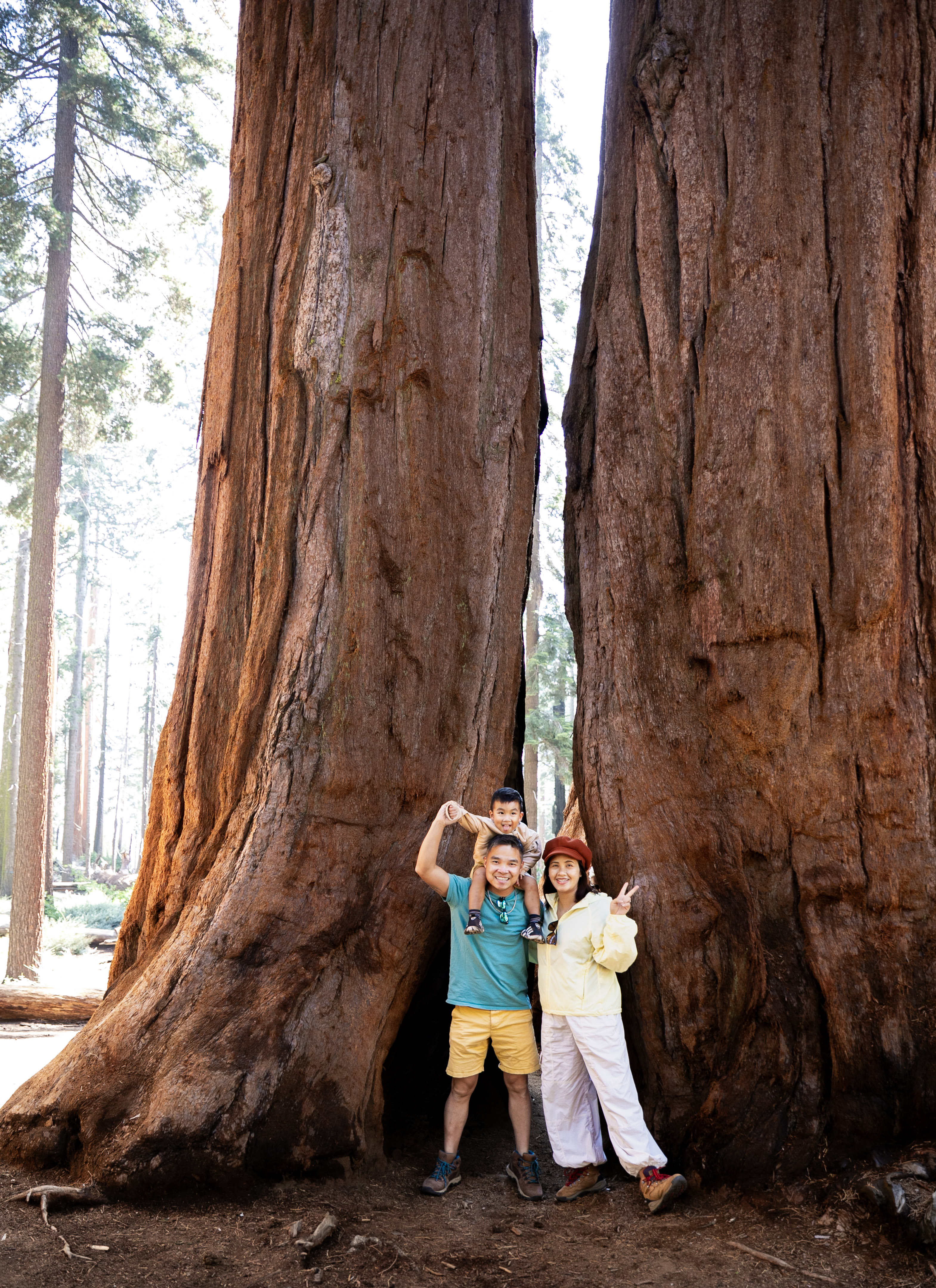 family in Sequioa