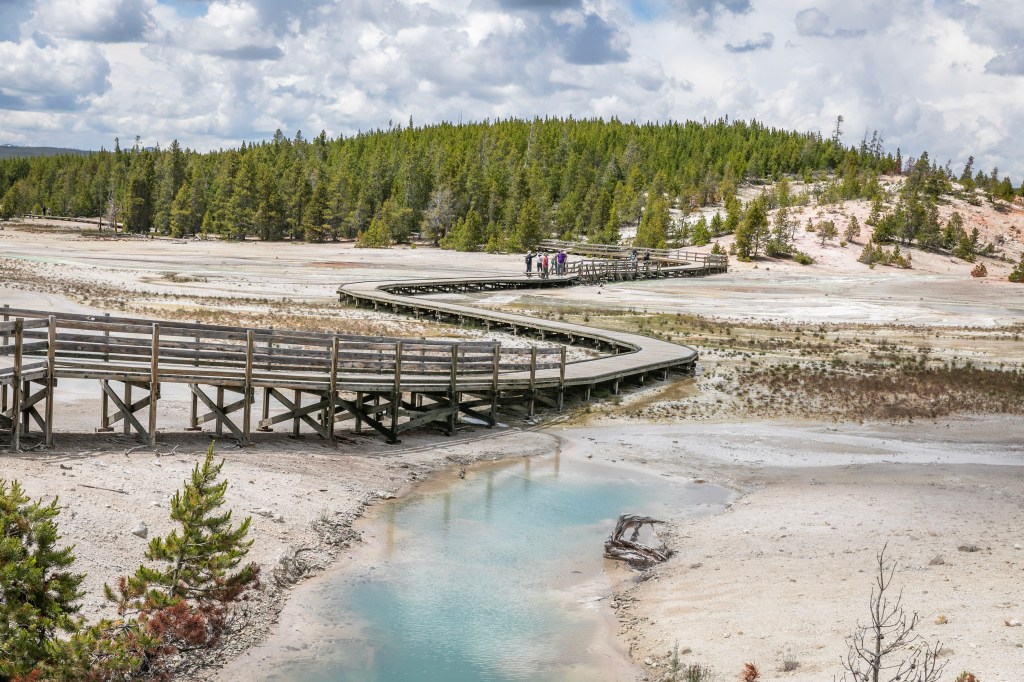 Norris Geyser Basin Trail 