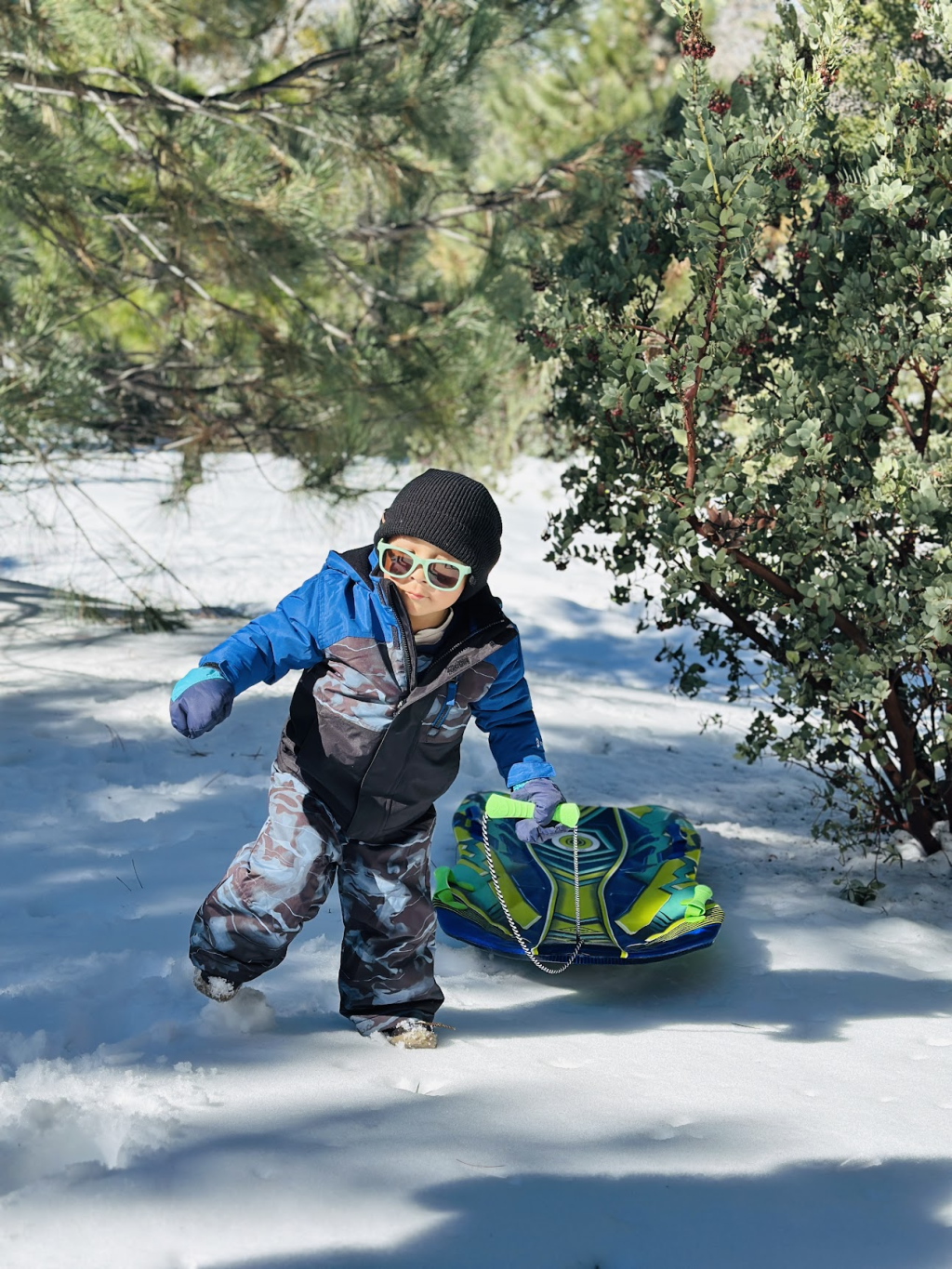 Playing in the Snow “Free”ly